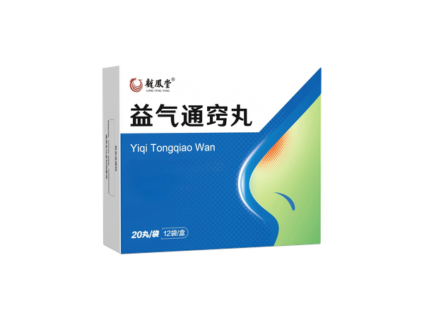 益氣通竅丸 益氣通竅丸