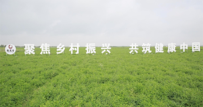 圖片7 圖片7